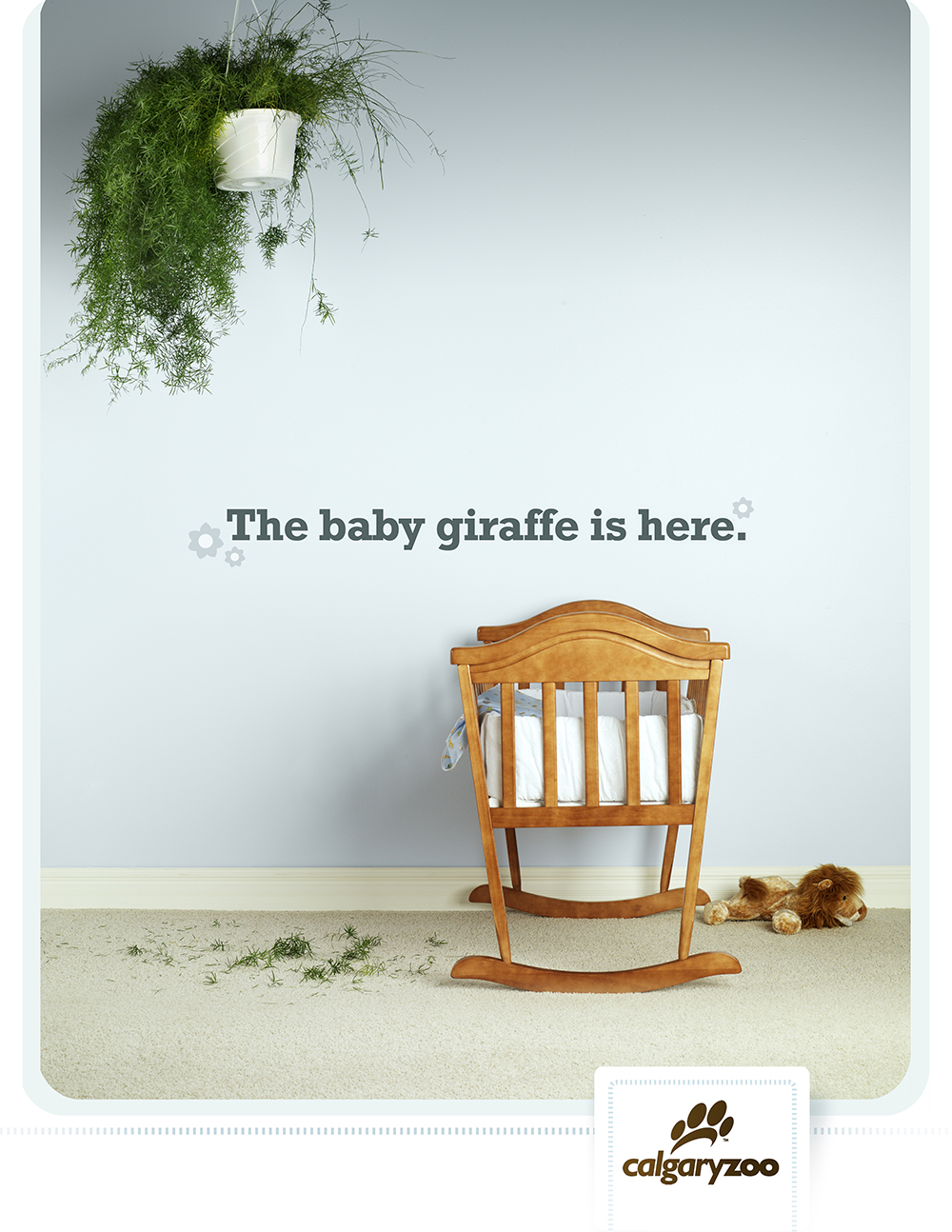 Calgary Zoo - Baby Giraffe - Crib